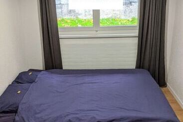 Общежитие Young Backpackers Homestay