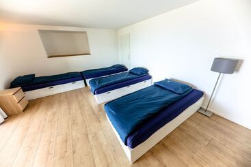 Общежитие Young Backpackers Homestay