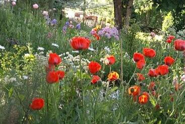 تختخواب و صبحانه La Combe Fleurie