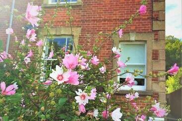 بنسيون Bridport Garden Suite