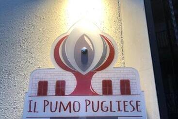 تختخواب و صبحانه Il Pumo Pugliese