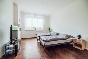 پانسیون Skodova Apartments