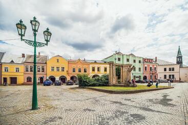 پانسیون Skodova Apartments