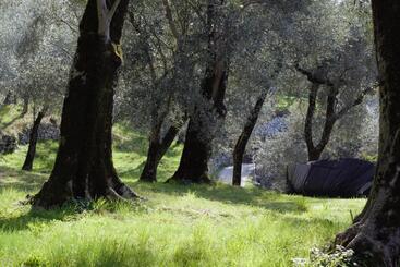 پانسیون Villa Torre   Atmosfera Romantica