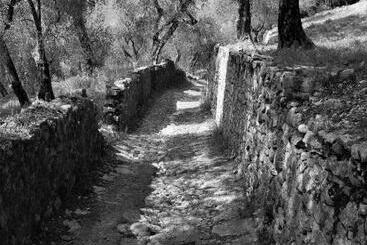 پانسیون Villa Torre   Atmosfera Romantica