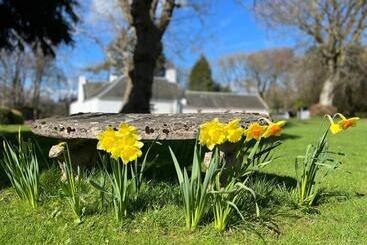 South Craighall B&b