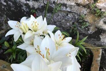 South Craighall B&b