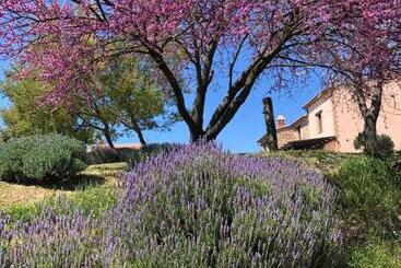 هتل Agriturismo Poggio Monte Saturnia