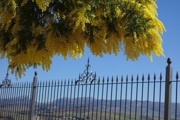 La Escondida Ronda, B&b