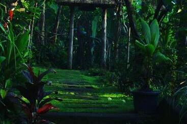 펜션 Bucu Hidden Guest House, And Meditation Center