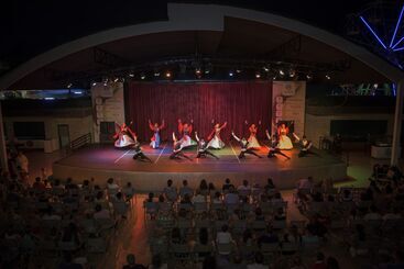 هتل Delphin Imperial Lara