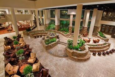 هتل Embassy Suites San Antonio Riverwalk Downtown