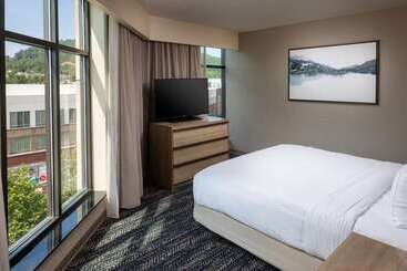 هتل Hilton Asheville Biltmore Park