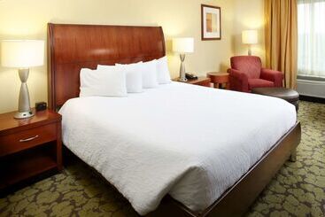 هتل Hilton Garden Inn Dallas/arlington