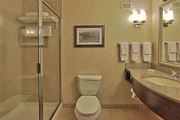هتل Hilton Garden Inn Las Cruces