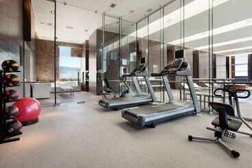 هتل Hilton Garden Inn Santiago Airport