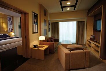 Отель Riu Plaza Guadalajara