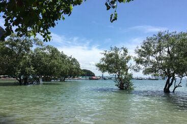 هتل Wild Orchid Villa Krabi