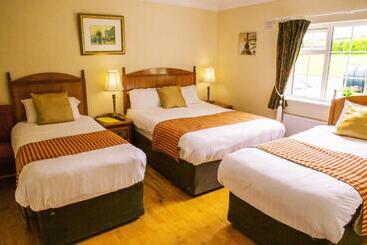 Rockfield Manor B&b, Knock