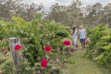 هتل Spicers Vineyards Estate