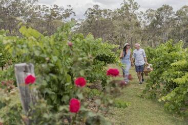 هتل Spicers Vineyards Estate
