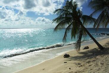White Sands Beach Condos