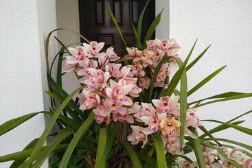 پانسیون Casa Da Piedade, Vouzela