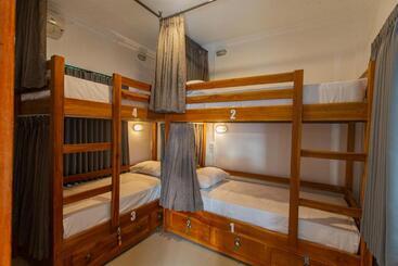 Zentiga Surf Hostel