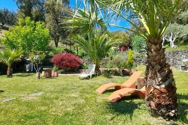 פנסיון Quinta Dos Sarilhos