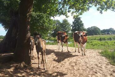 Bed & Breakfast Hellendoorn