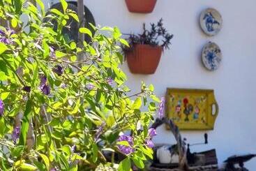 پانسیون Beach House Babylon Guest House With Kitchenette And Garden