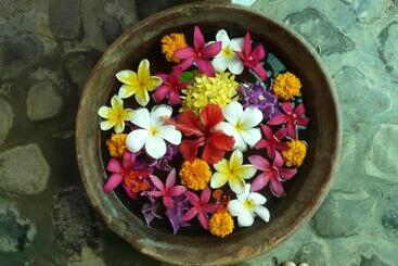 پانسیون Bali Sandat