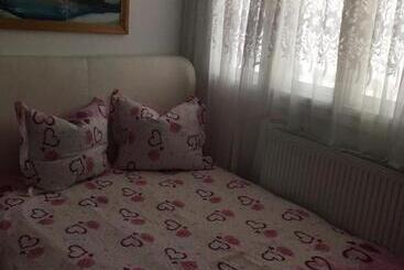 پانسیون Casa Firuta Borsa