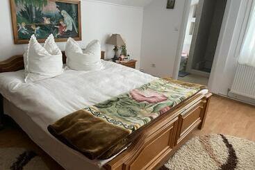 پانسیون Casa Firuta Borsa