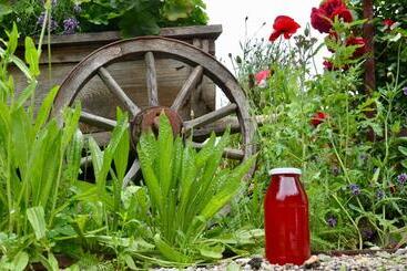 Bed and Breakfast Falkenau