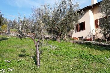 تختخواب و صبحانه La Collina Degli Olivi