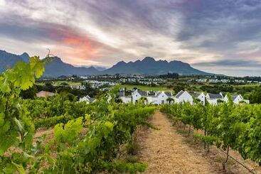 هتل De Zalze Lodge