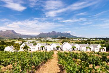 هتل De Zalze Lodge