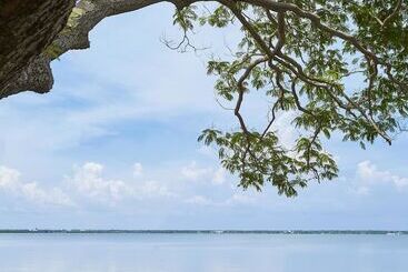 Hotel Jetwing Lagoon   Newly Renovated