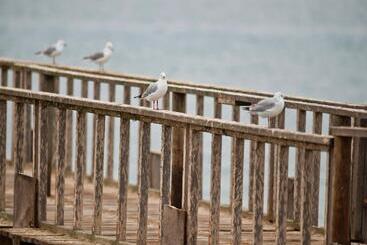 Protea Hotel By Marriott Walvis Bay Pelican Bay