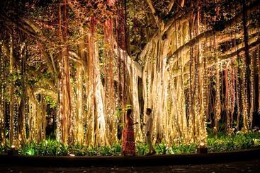 استراحتگاه Shangrila Le Touessrok, Mauritius