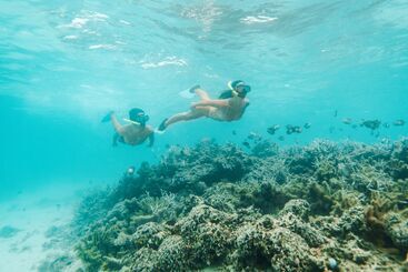 استراحتگاه Shangrila Le Touessrok, Mauritius
