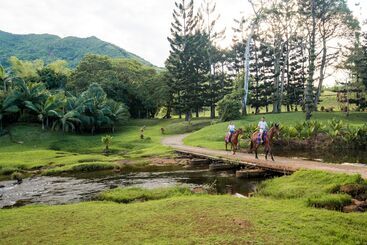 استراحتگاه Shangrila Le Touessrok, Mauritius