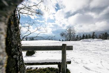 هتل Niederhaeusererhof