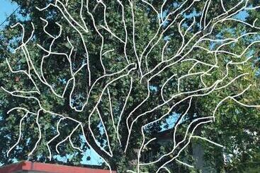 پانسیون La Quercia