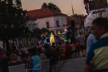 هتل Dvorec Trebnik   Sobe