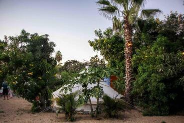 Todos Santos Hostel Super Fast And Stable Satellite Wifi
