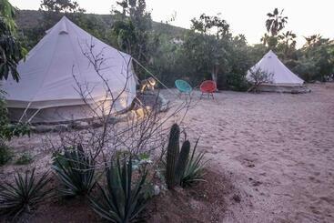 Todos Santos Hostel Super Fast And Stable Satellite Wifi