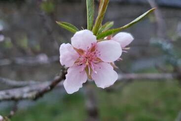 住宿加早餐  Couloumine Breizh