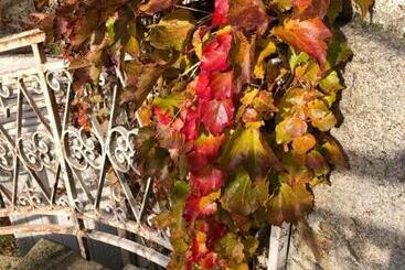 پانسیون Au Rez De Jardin